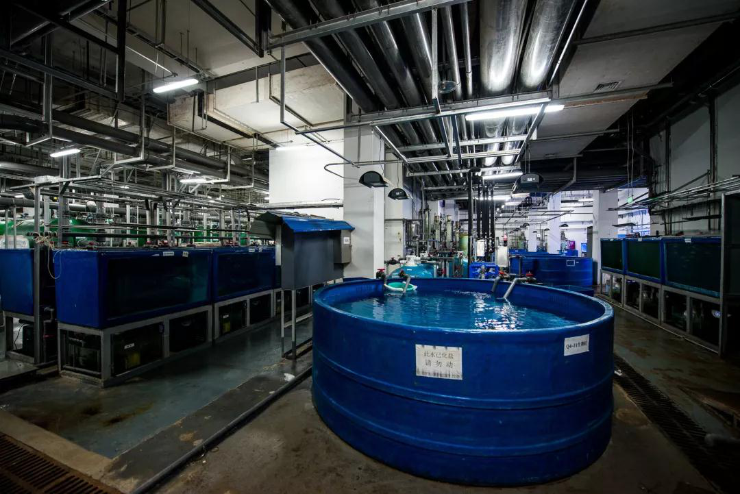 蠕(ru)動泵用(yòng)于克服(fu)三種廢(fei)水問題(ti)